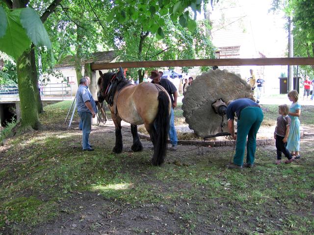 Erstes Drehen der Waidmühle mit Pferd