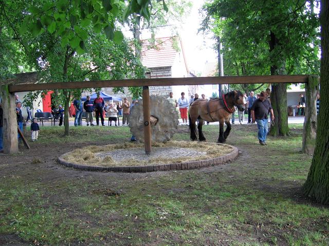 Erstes Drehen der Waidmühle mit Pferd