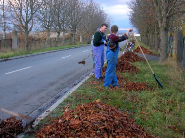 Herbstputz 2006
