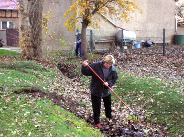 Herbstputz 2006