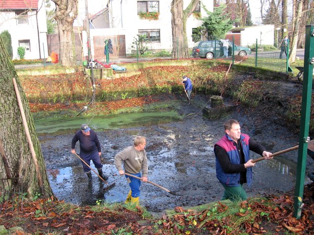 Herbstputz 2010