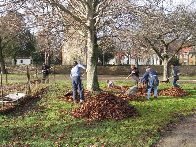 Herbstputz 2010