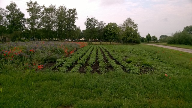 Überschwemmungen nach Starkregen (Juni 2020)