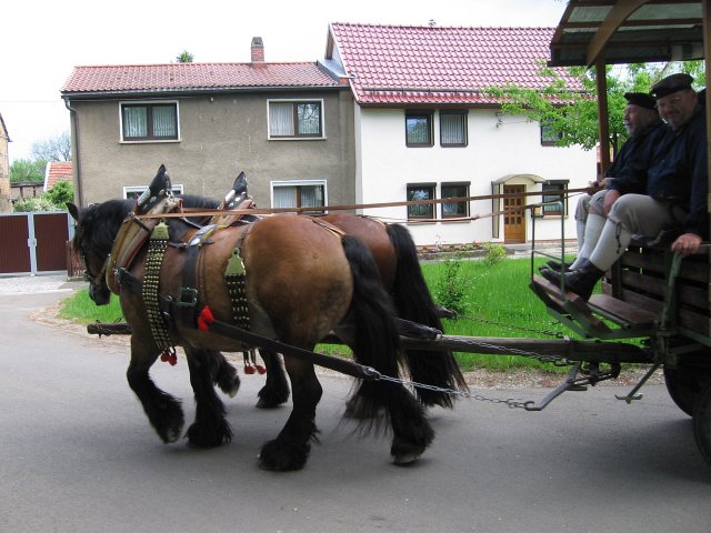 Mühlentag 2010