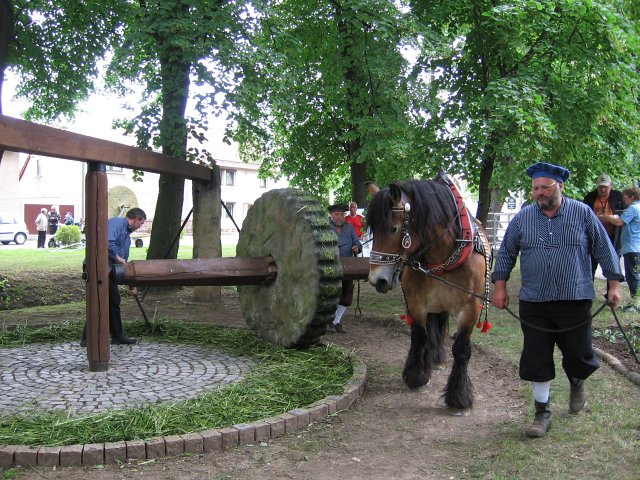 Mühlentag 2011