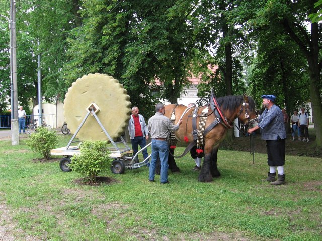 Mühlentag 2011