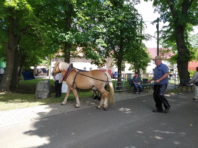 Mühlentag 2022