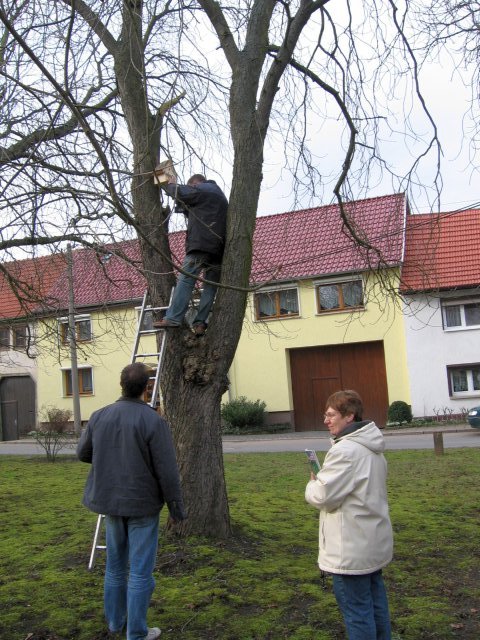 Nistkastenbasteln