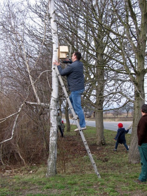 Nistkastenbasteln