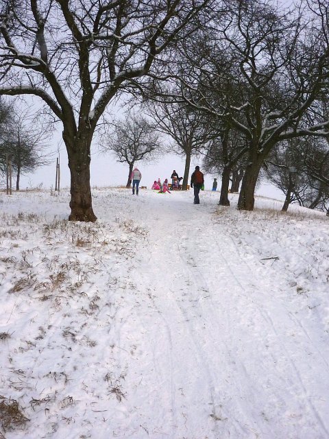 Schlittenfahren Anfang 2013