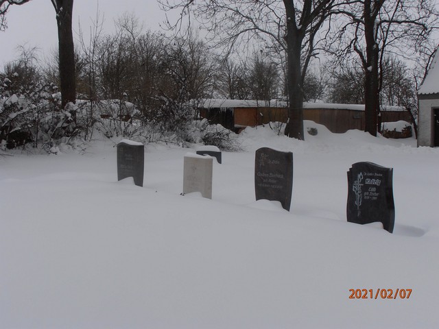 Im Schnee versunken (Februar 2021)