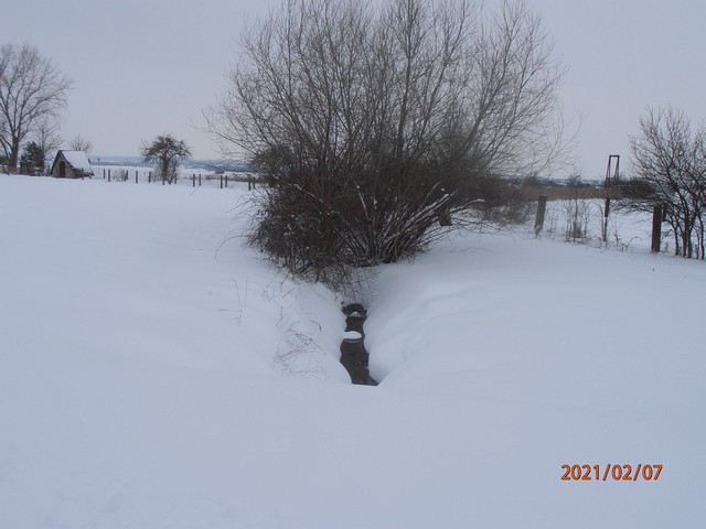 Im Schnee versunken (Februar 2021)