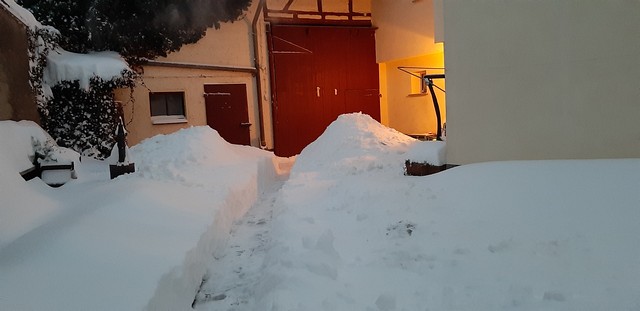 Im Schnee versunken (Februar 2021)