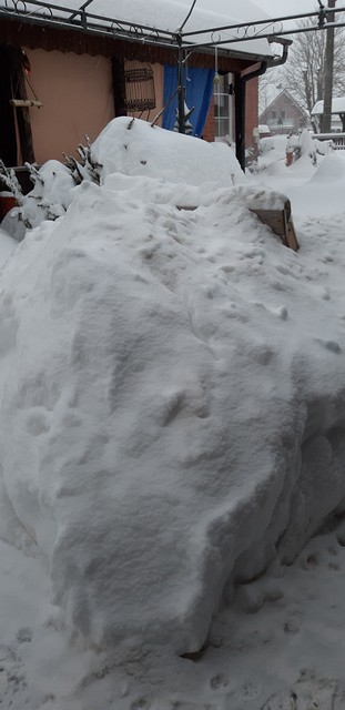 Im Schnee versunken (Februar 2021)