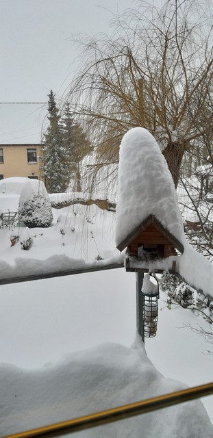 Im Schnee versunken (Februar 2021)