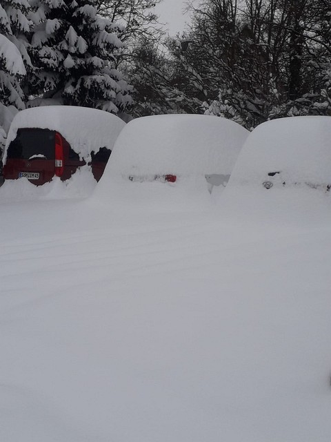 Im Schnee versunken (Februar 2021)