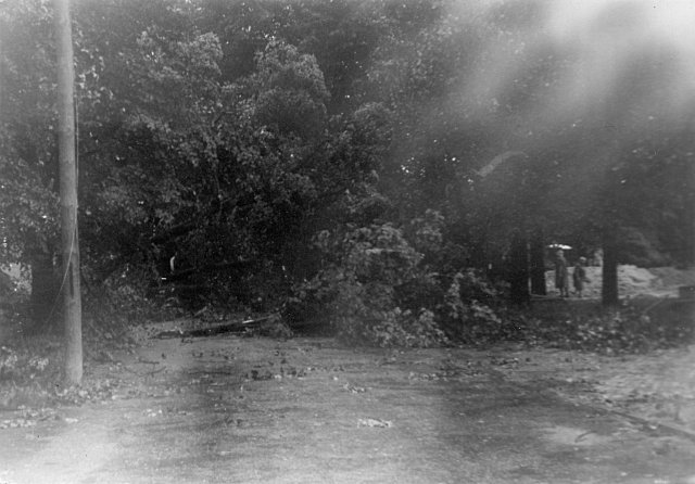 Nach dem Sturm (1980)