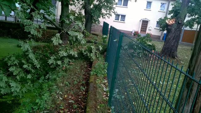 Sturmschaden am 24. Juli