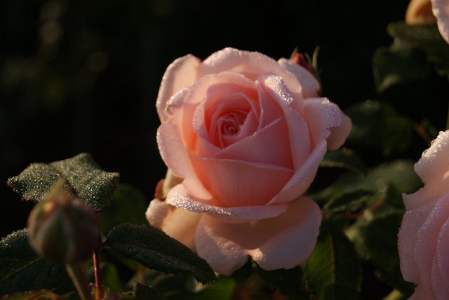 Ausflug an die dt.-dt. Grenze