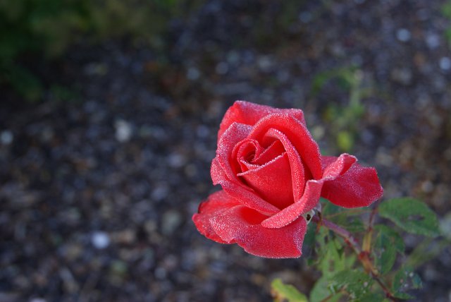 Ausflug an die dt.-dt. Grenze