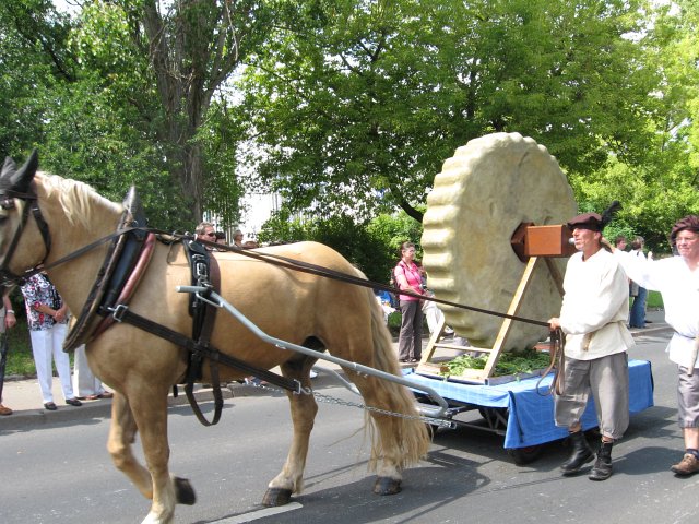 Thüringentag in Gotha