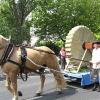 Thüringentag in Gotha