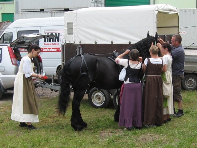 Thüringentag 2013 in Sondershausen