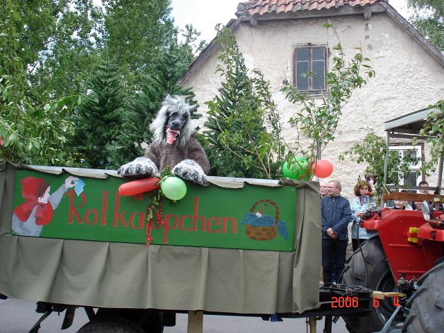 Umzug Orlishausen 2006