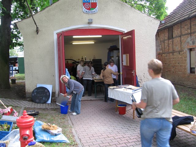 Waidernte und Vorbereitung des Waidmühlenfests 2010