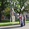 Waidernte und Vorbereitung des Waidmühlenfests 2010