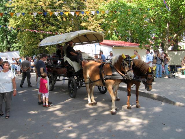 Waidmühlenfest 2008