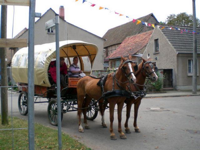 4. Waidmühlenfest 2009