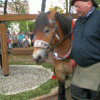 4. Waidmühlenfest 2009