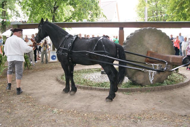 8. Waidm&uuml;hlenfest 2013