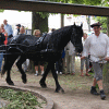 8. Waidmühlenfest 2013