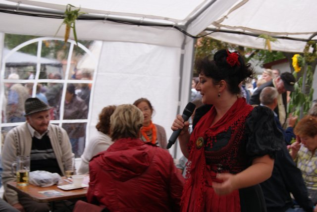 9. Waidmühlenfest 2014