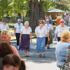 Waidm�hlenfest 2016