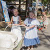 Waidm�hlenfest 2016
