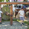 Waidm�hlenfest 2016