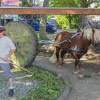 Waidm�hlenfest 2016