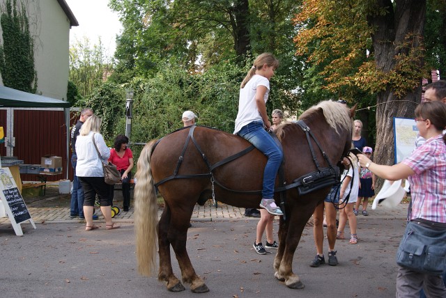 12. Waidmühlenfest 2017