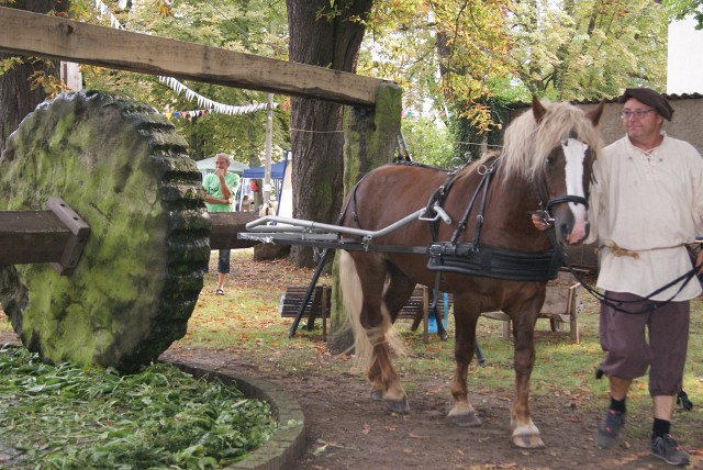 12. Waidmühlenfest 2017