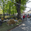 14. Waidmühlenfest 2019