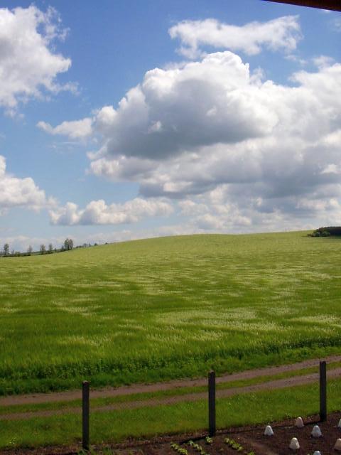 Ansichten Fr&uuml;hjahr 2006