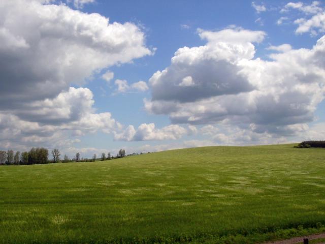 Ansichten Fr&uuml;hjahr 2006