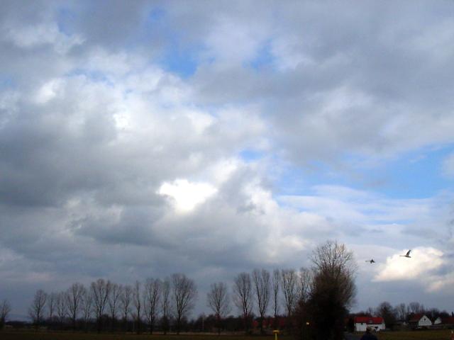 Ansichten Fr&uuml;hjahr 2006