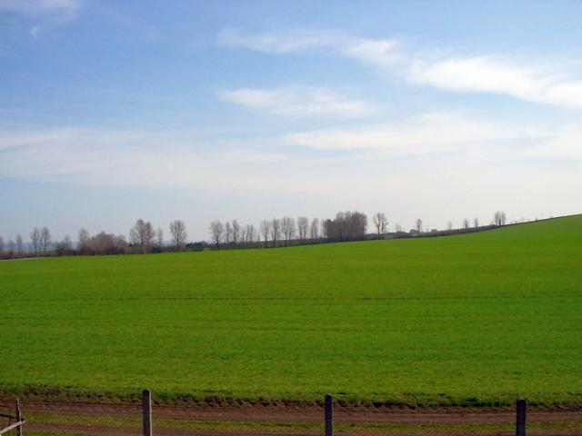 Ansichten Fr&uuml;hjahr 2006