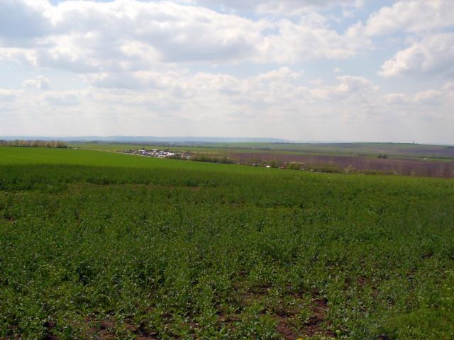 Ansichten Fr&uuml;hjahr 2006