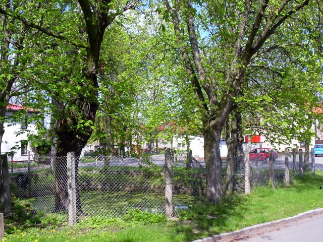 Ansichten Fr&uuml;hjahr 2006