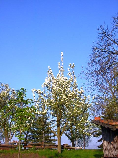 Ansichten Fr&uuml;hjahr 2006